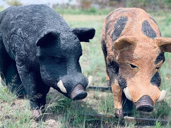 Wildcrete Australian Feral Boar 3D Target. Instore Only