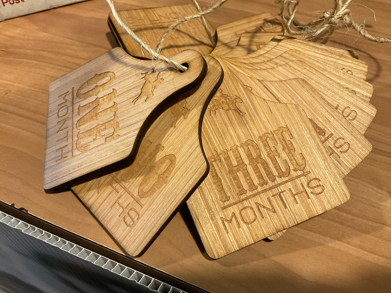 Wooden Cattle Tag Baby Milestone Cards